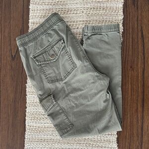 Natural Reflections Sage Cargo Pants